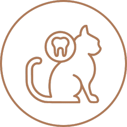 dental care vet services icon