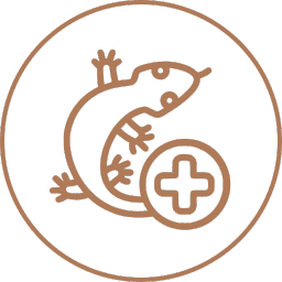 exotics brn vet clinic services icon