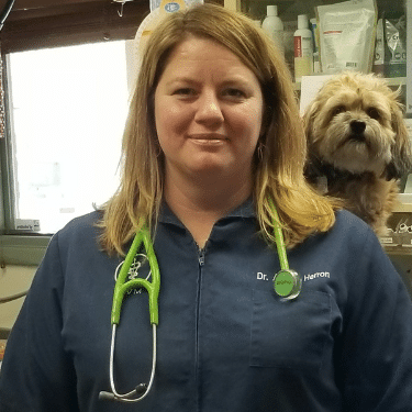 Dr. Amber Herron, DVM