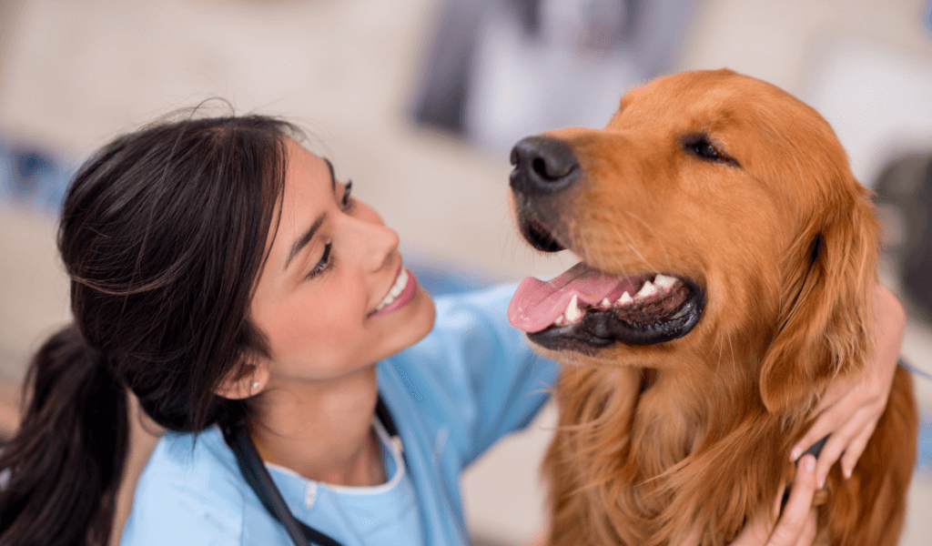 A Montana Vet Tech Smiles with a happy dog with clean teeth.
