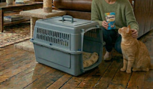 cat training carrier no door
