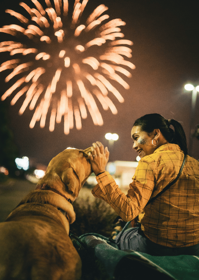dog and fireworks tall