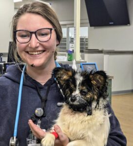 a vet holding her patient, a small dog