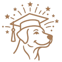 pet-behavior-strategy icon